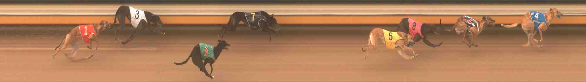 Race result finish photo